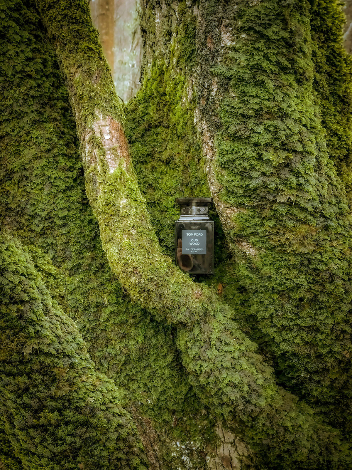 Oud Wood Eau de Parfum